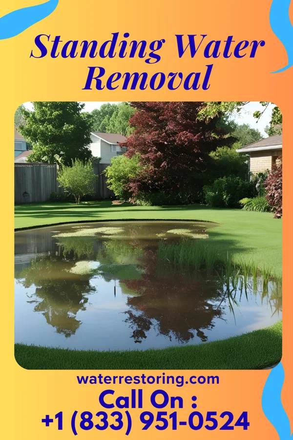 Standing Water Removal in Osakis, MN